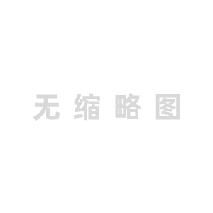 北京某金融公司
